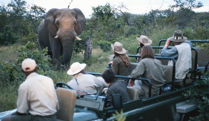 SIDSTE CHANCE: Safari-eventyr i Sydafrika