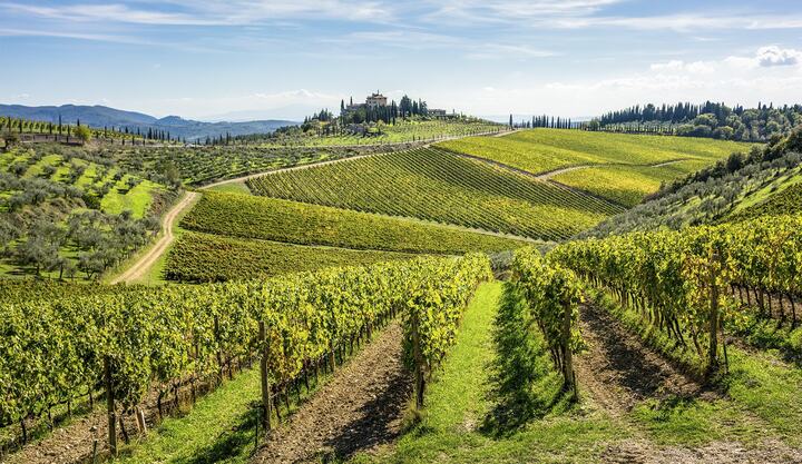 Rejs til fortryllende Toscana