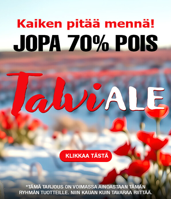 Talvi Ale