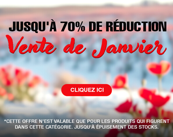 Vente de Janvier